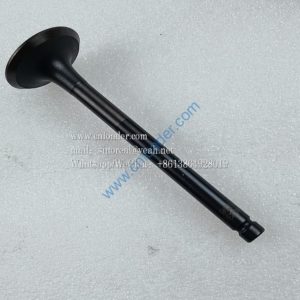 Exhaust valve HA03308 4110003492210