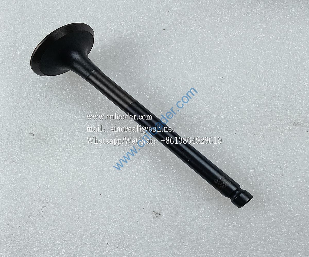 Exhaust valve HA03308 4110003492210