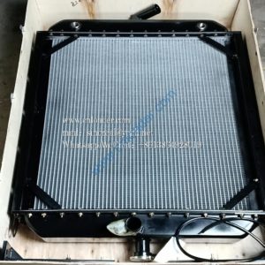 Radiator TD226B-6G 419000558