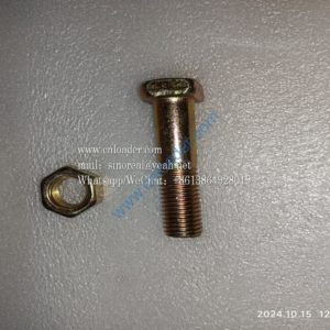 Bucket tooth bolt M20X80 01B1529