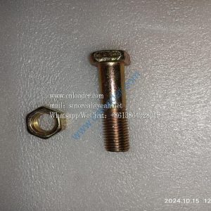 Bucket tooth bolt M20X80 01B1529