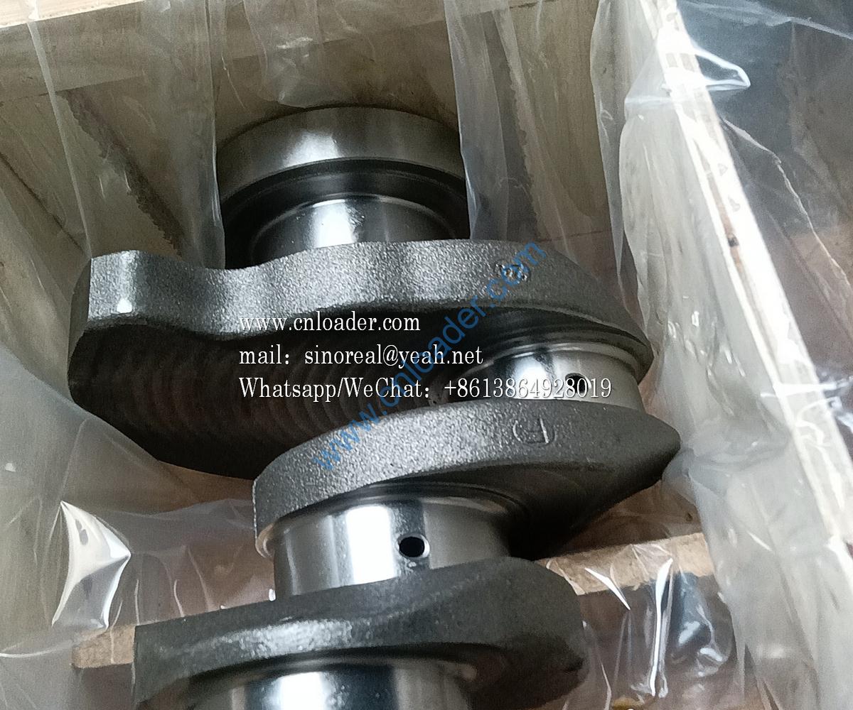 Crankshaft 13022374+001 12272498 12272497 13022374 - Image 2