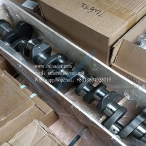 Crankshaft 13022374+001 12272498 12272497 13022374