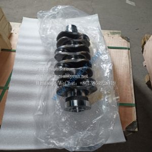 Crankshaft assembly 1005020-65D/P 100502065DP 4110000988006