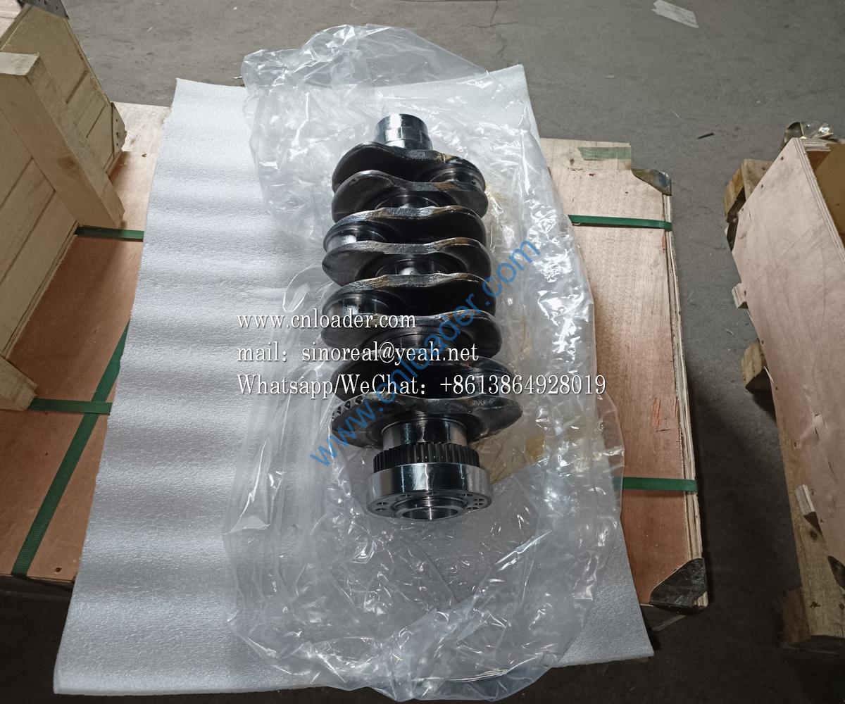 Crankshaft assembly 1005020-65D/P 100502065DP 4110000988006