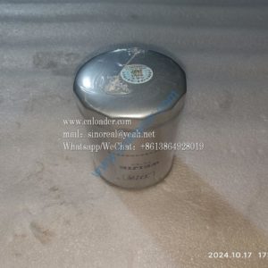 Oil filter LF3970 860113207 Z00250682