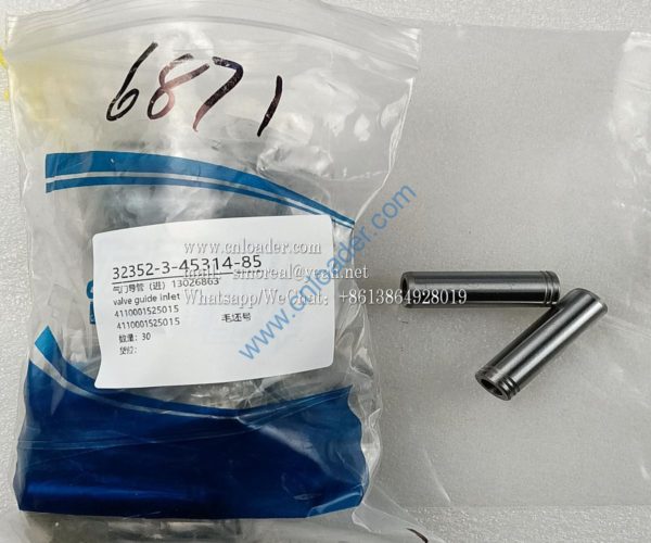 Valve guide (inlet) 13026863 13026863 4110001525015
