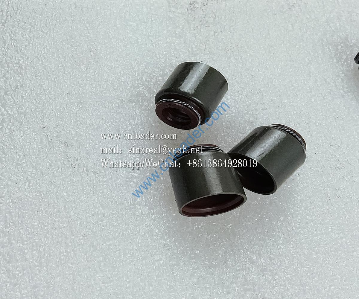 Valve stem seal HA0380B 4110003492214