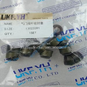 Valve stem seal 13023391 4110000054243