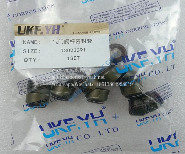 Valve stem seal 13023391 4110000054243