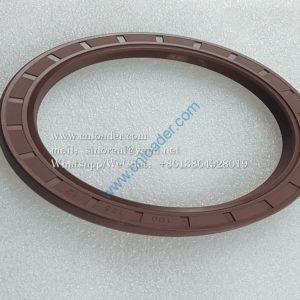 Oil seal 100×125 YC209-100125FL 4110000560340