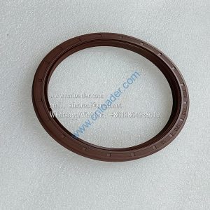 Oil seal 100X120X12 13V0182