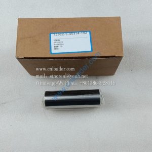 Piston pin SP109112 RA050004