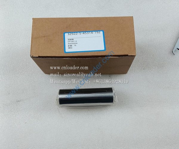 Piston pin SP109112 RA050004