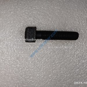 Bolt LGB002-M16x50 4043000337