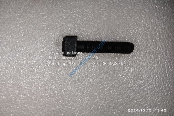 Bolt LGB002-M16x50 4043000337