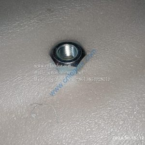 Rim nut 3050900003 ZL30F.5-3