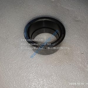 Bushing 24C116340 4120006960006