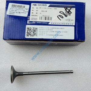 YUNNEI engine part intake valve 90-03014A SHA0353