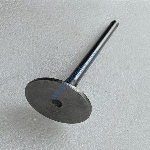 YUNNEI engine part exhaust valve SHA07015 YN25GB-07011-1