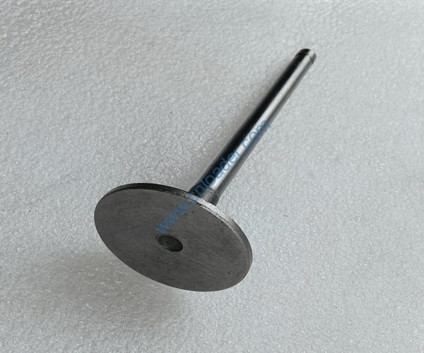 YUNNEI engine part intake valve 90-03014A SHA0353 - Image 2