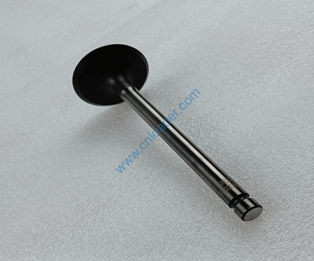 YUNNEI engine part intake valve HA03285 YN33-03-002 4110003180079 - Image 2