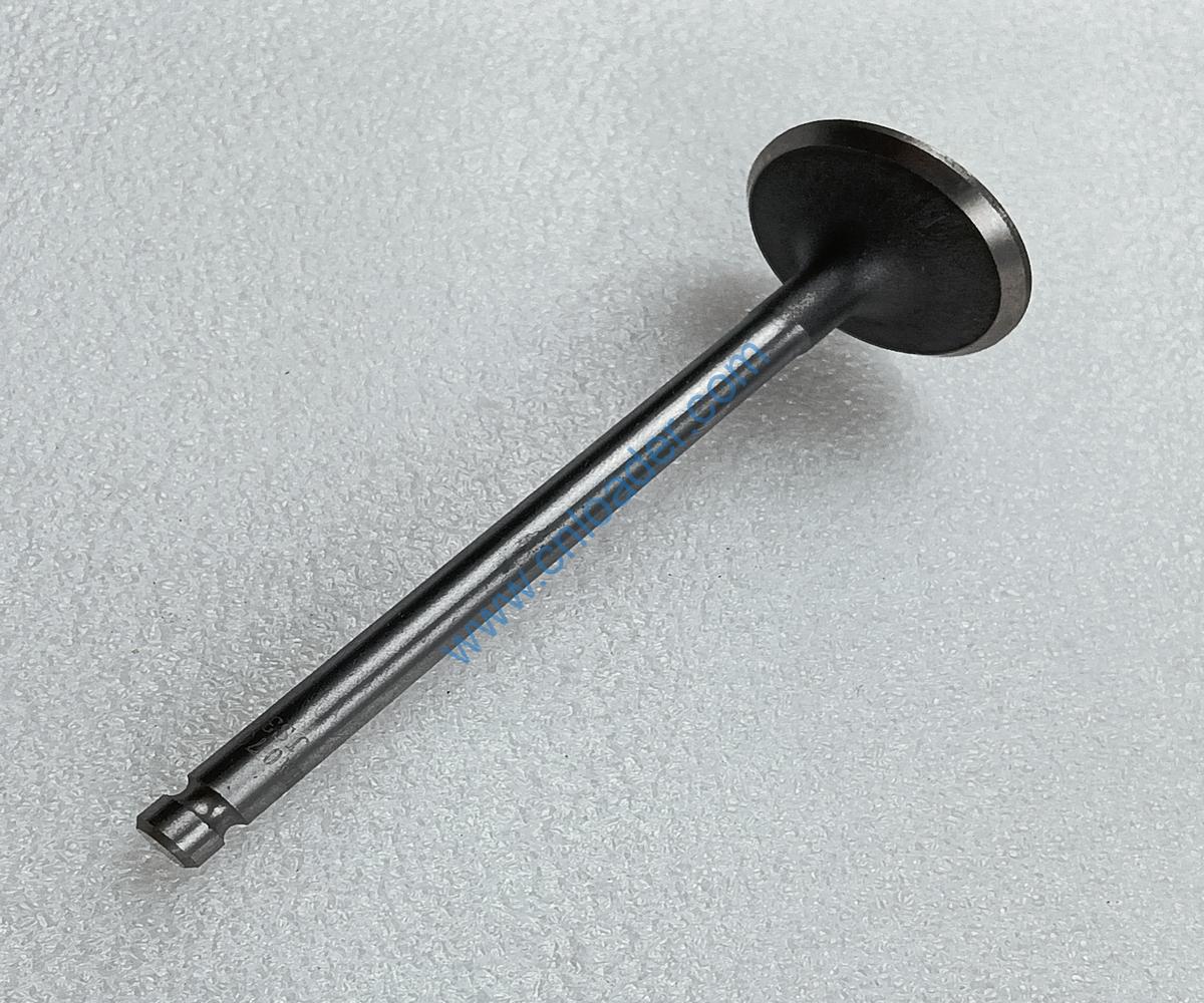 YUNNEI engine part intake valve SHA07014 YN25GB-07010-1 - Image 2