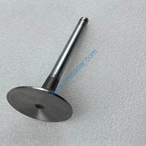 YUNNEI engine part intake valve HA03157 4100QB-03-002A 4110003273159