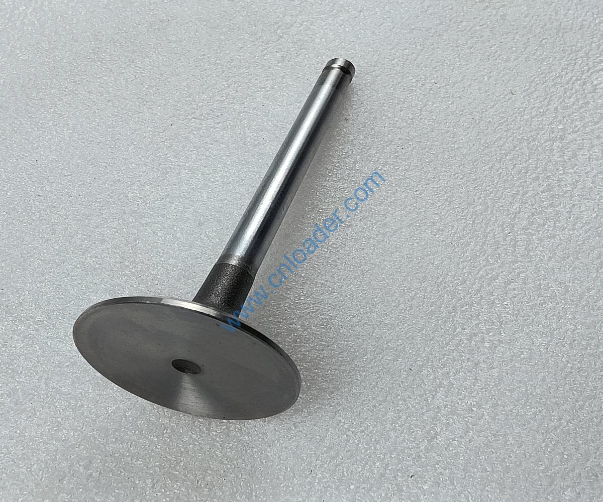 YUNNEI engine part intake valve HA03157 4100QB-03-002A 4110003273159