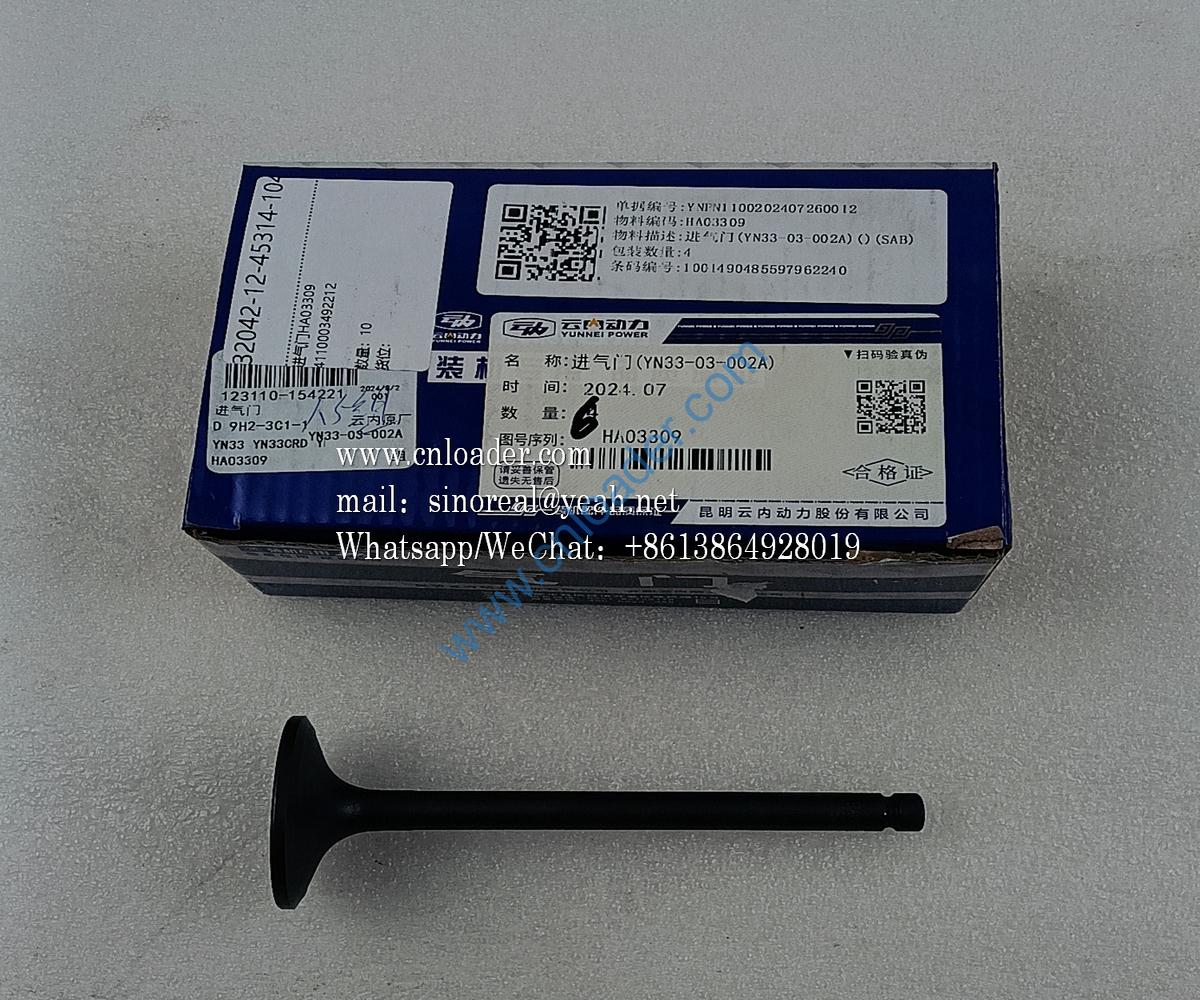 Intake valve HA03309 4110003492212 - Image 2