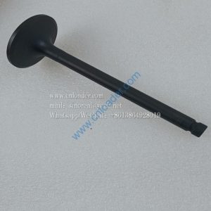 Intake valve HA03309 4110003492212