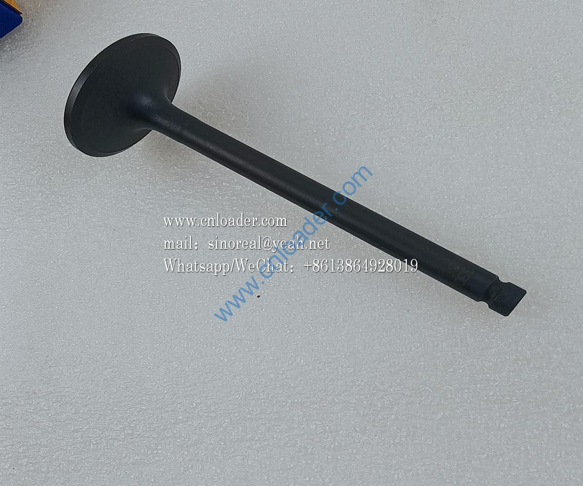 Intake valve HA03309 4110003492212