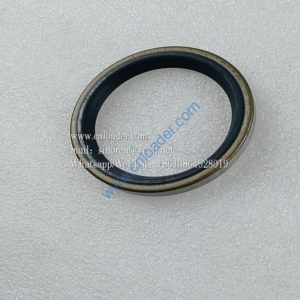 Dust seal LGB307-60 4043000127