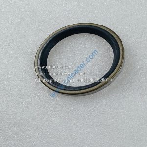 Dust seal LGB307-60 4043000127