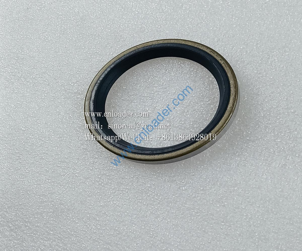 Dust seal LGB307-60 4043000127