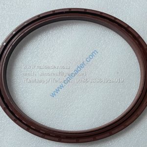 Oil seal 170X200X15 4190003802 53500019 13B0147 860106250 L00030038