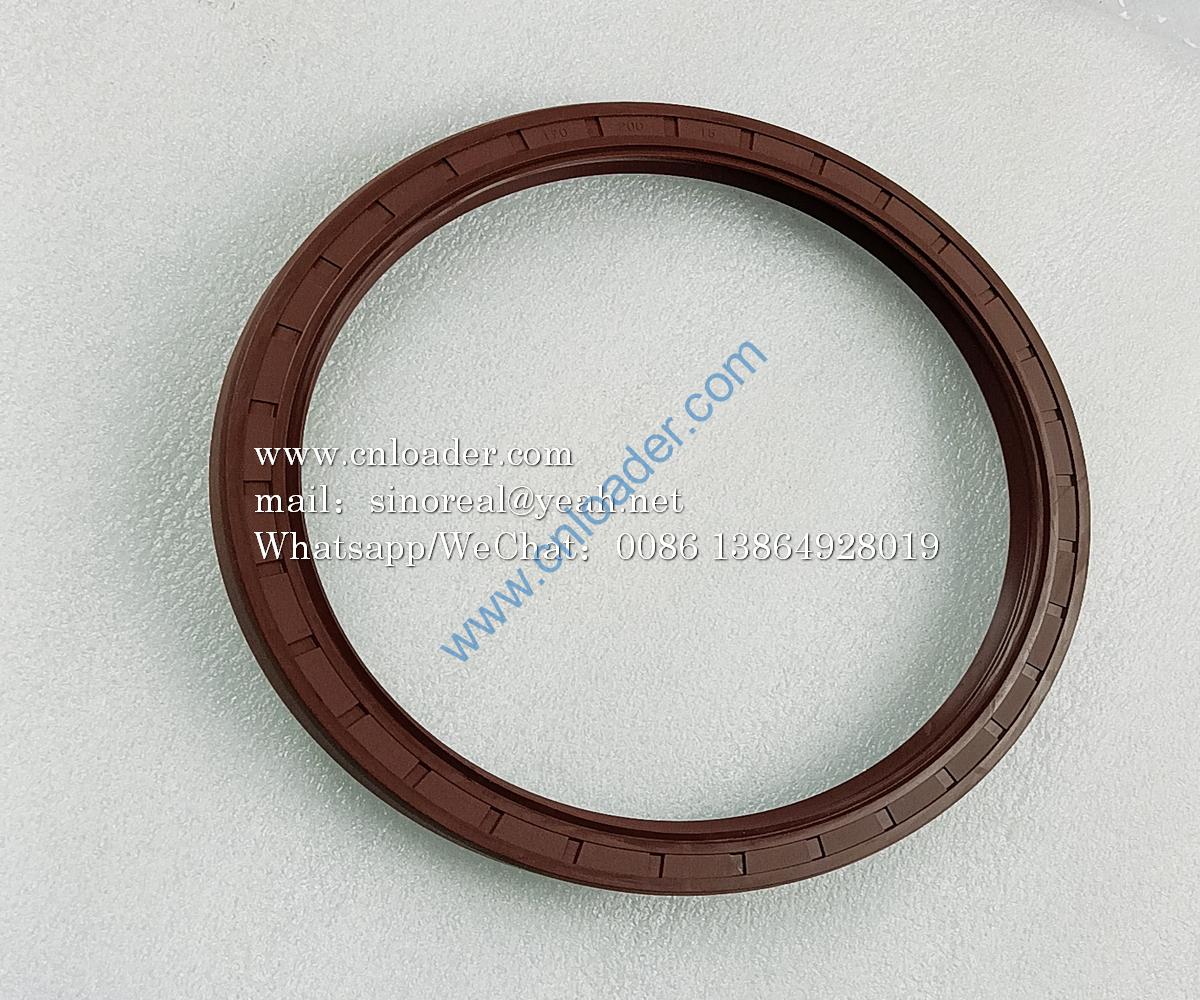 Oil seal 170X200X15 4190003802 53500019 13B0147 860106250 L00030038