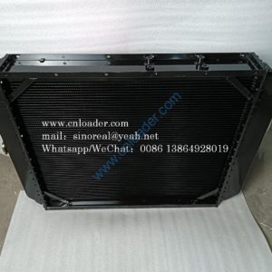Water radiator assembly 4110000481