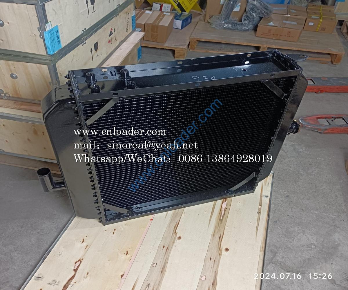 Radiator assembly LY-930 4120000353 - Image 2