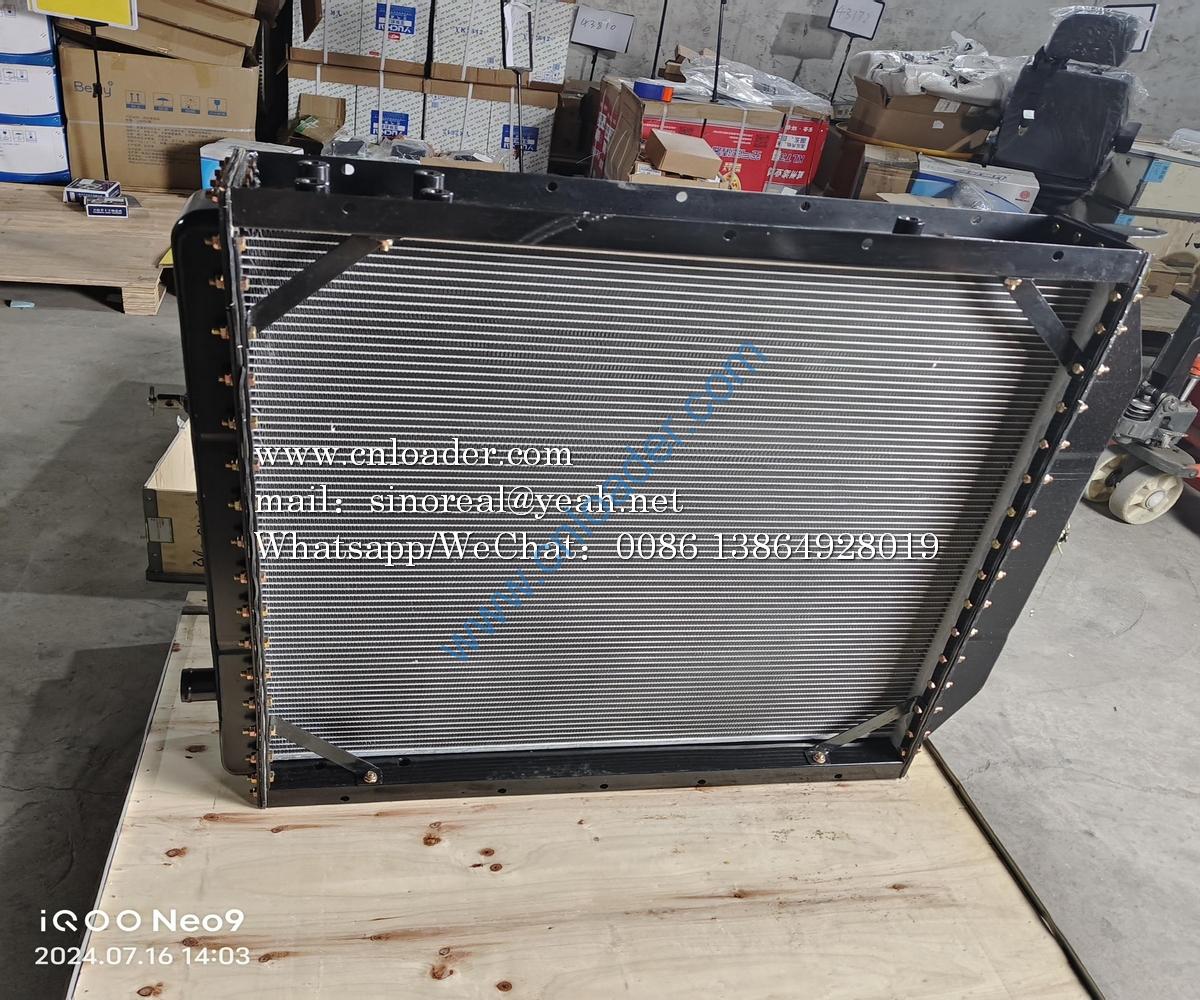 Radiator CDM853.01.04 LG853.01IV.04(17101000030) - Image 2