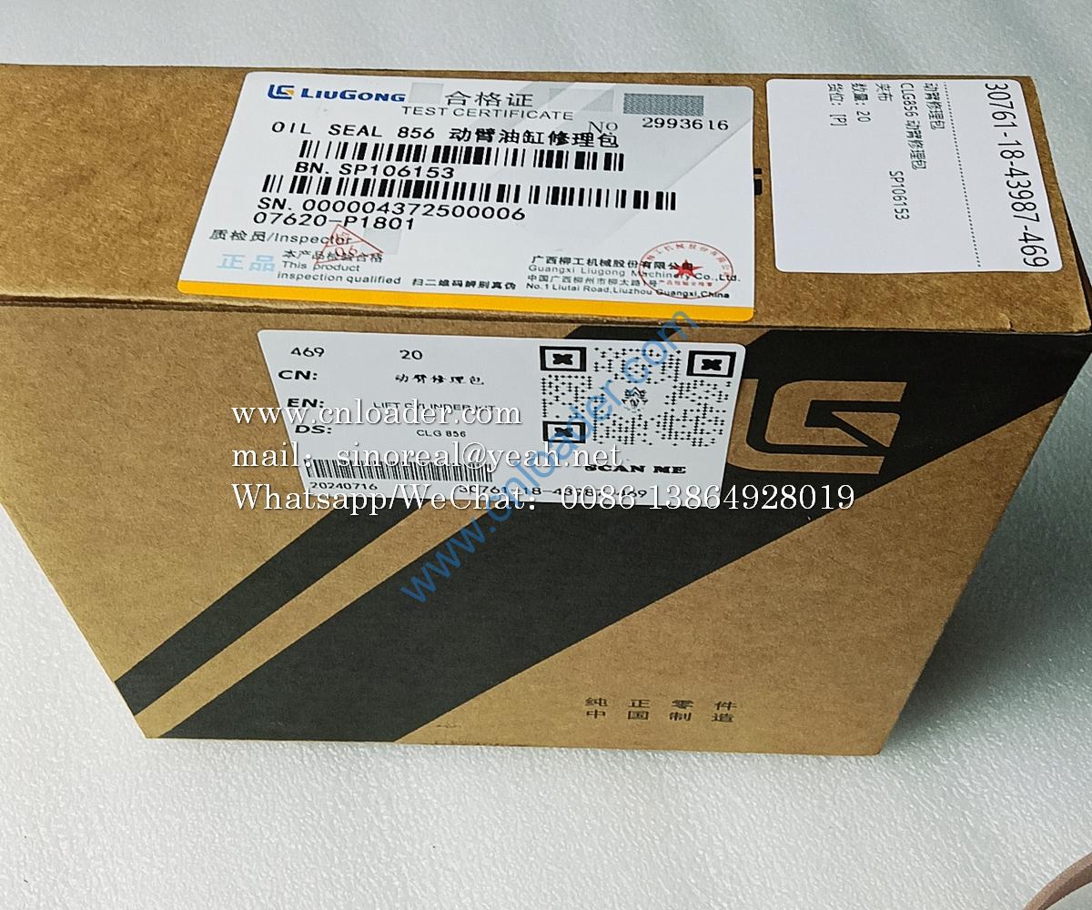 CLG856 Boom Cylinder Repair Kit SP106153 - Image 2