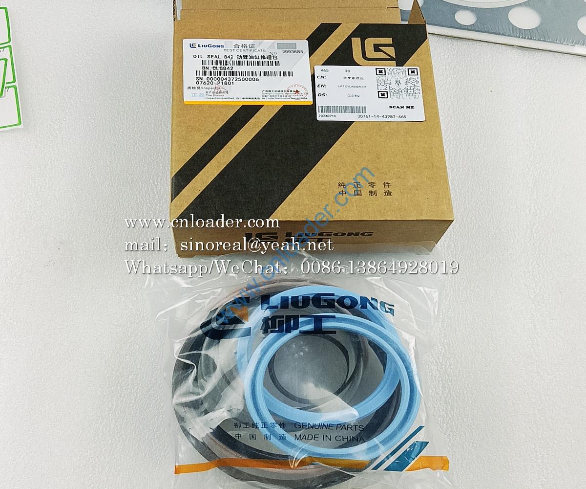 CLG842 boom cylinder repair kit SP102909 11E0036-XLB - Image 2
