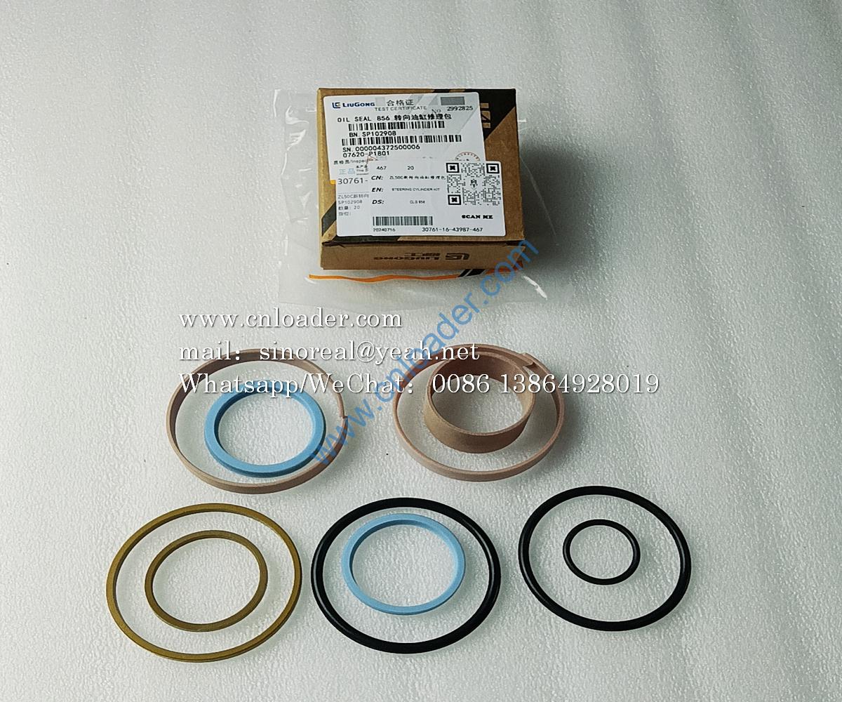 Steering cylinder repair kit CLG856 SP102908