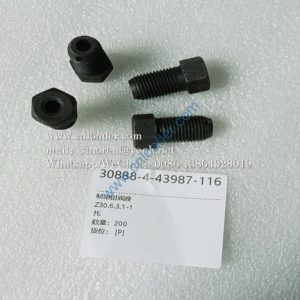 Brake caliper valve seat Z30.6.3.1-1