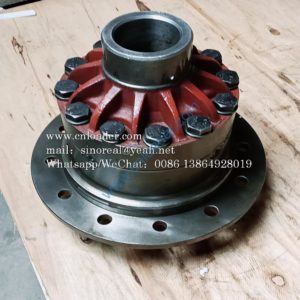 Differential assembly Z610240160