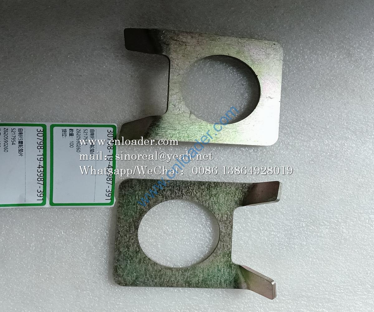 Planetary gear gasket Z620590260 5217954