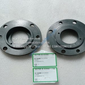 Input shaft cover ZL20-030008 4110000038116 4110000038038 7200002286 Z00340196 860114718