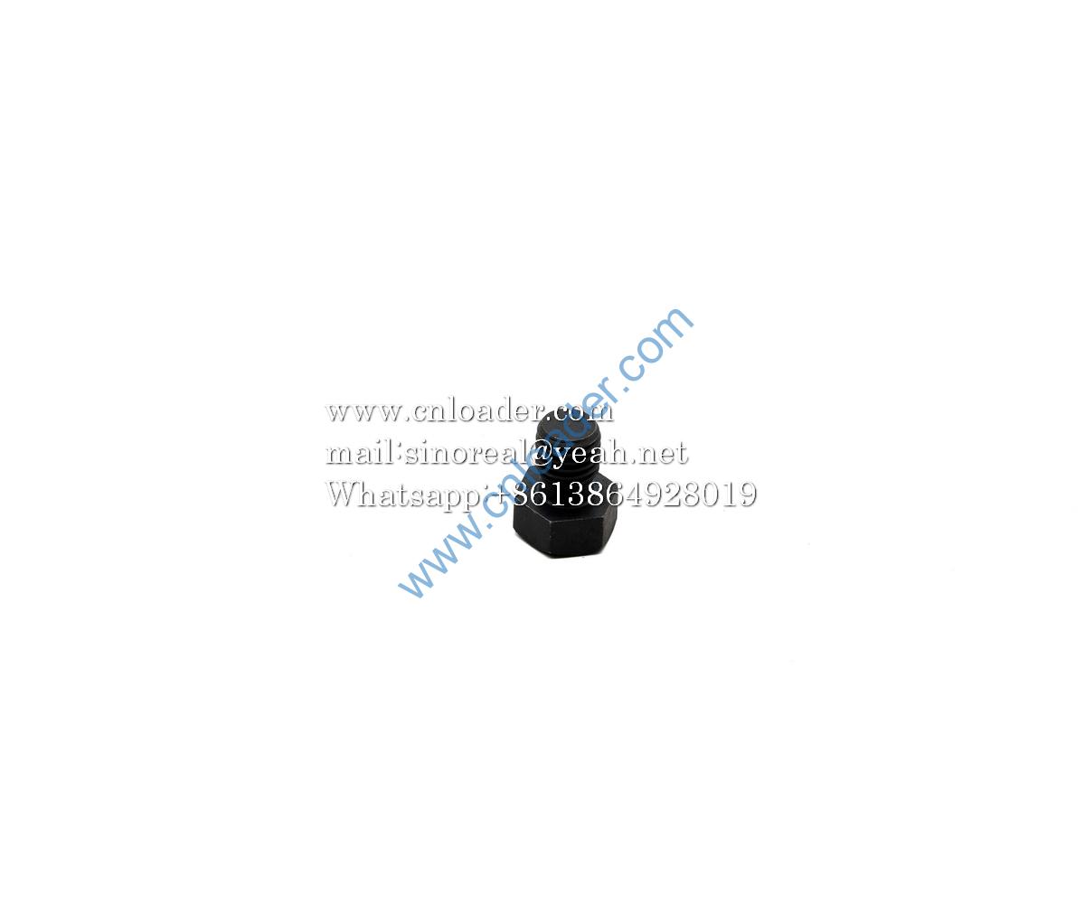 SANY parts bolt 10041691