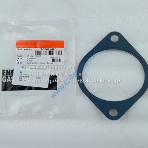 Steering pump gasket 3008400