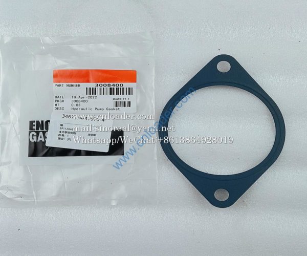 Steering pump gasket 3008400